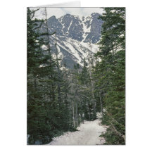 Mt Washington Trail View Greeting Cards
