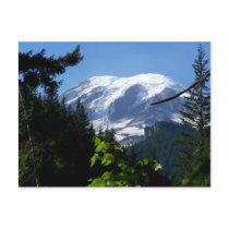 MtRainer6 Post Card