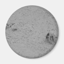 Mud Paint Pots Thermal Yellowstone Magnet