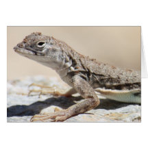 Muddy Lizard Greeting Card