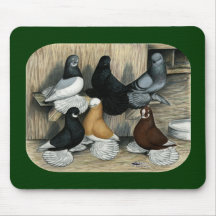 Muffed Tumbler Pigeons Mousepads
