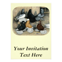 Muffed Tumbler Pigeons Personalized Announcements