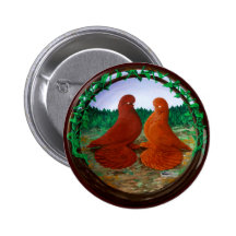 Muffed Tumbler Pigeons Pinback Button