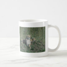 Mug Cheetah Mom and her three cubs