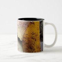 Mug The Stones Photo ZIZZAGO