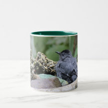 Mug with Catbird