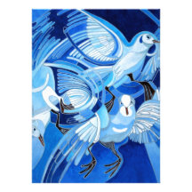 Muge's Pigeons in Blue Announcement