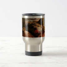  MUGS