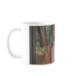 Muir Woods mugs