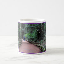 Muir Woods Mug mugs