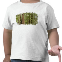 Muir Woods National Monument, Northern T-shirt