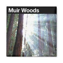 Muir Woods National Monument magnets