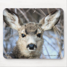 Mule Deer 2 Mouse Pad