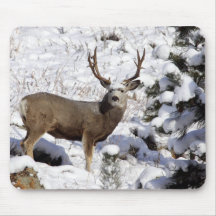 Mule Deer Buck Mousepad