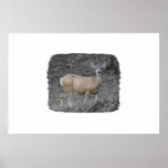 Mule Deer posters