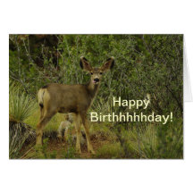 Mule Deer Raspberry Birthday Greeting Cards