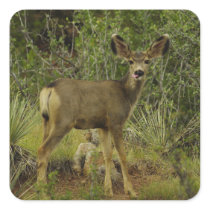 Mule Deer Raspberry Sticker