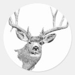 Mule Deer Sticker