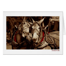 Mule Speak Greeting Card