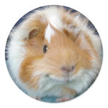 Mulisa Round Sticker
