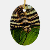 Mulitcolored Butterfly Ornament