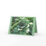 MULLEIN CARDS