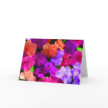 Multi Colour Flowers Card - blank