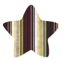 Multi coloured distressed striped star sticker