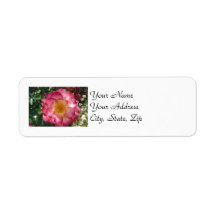 Multi-Coloured Rose Labels