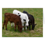 Multi-COW-tural