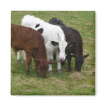 Multi-COW-tural magnets