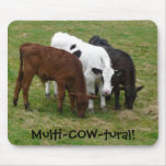 Multi-COW-tural. Multicultural Cattle