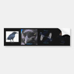 Multi-stickers III BLACK RAVEN Set Bumper Sticker