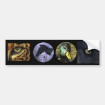 Multi-stickers VI WILD Set Bumper Stickers