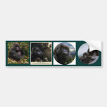 Multi-stickers VII PRIMATE Set Bumper Stickers