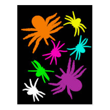 Multicolor Spiders Postcard