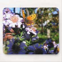Multicoloured butterflies mousepad