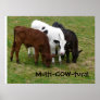 Multicultural? We're Multi-COW-tural!