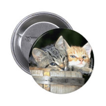 Multiple Kitty Cat Products Pin
