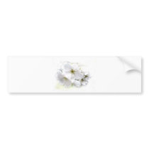 (multiple products selected)BEAUTY IN THE MIST Bumper Stickers