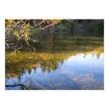 Multiple Reflections Invites