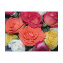 Multiple Roses postcards