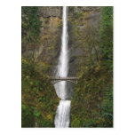 Multnomah Falls and Benson Footbridge Postcard