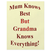 Mum Knows Best But Grandma Knows Everything! Flyers