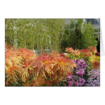 mums2009 carte