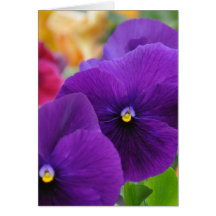 Mum's Eyes Pansies Greeting Card