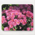 Mums in a Garden mousepads
