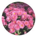 Mums in a Garden Round Sticker