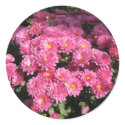 Mums in a Garden stickers