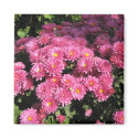 Mums in the Garden magnets